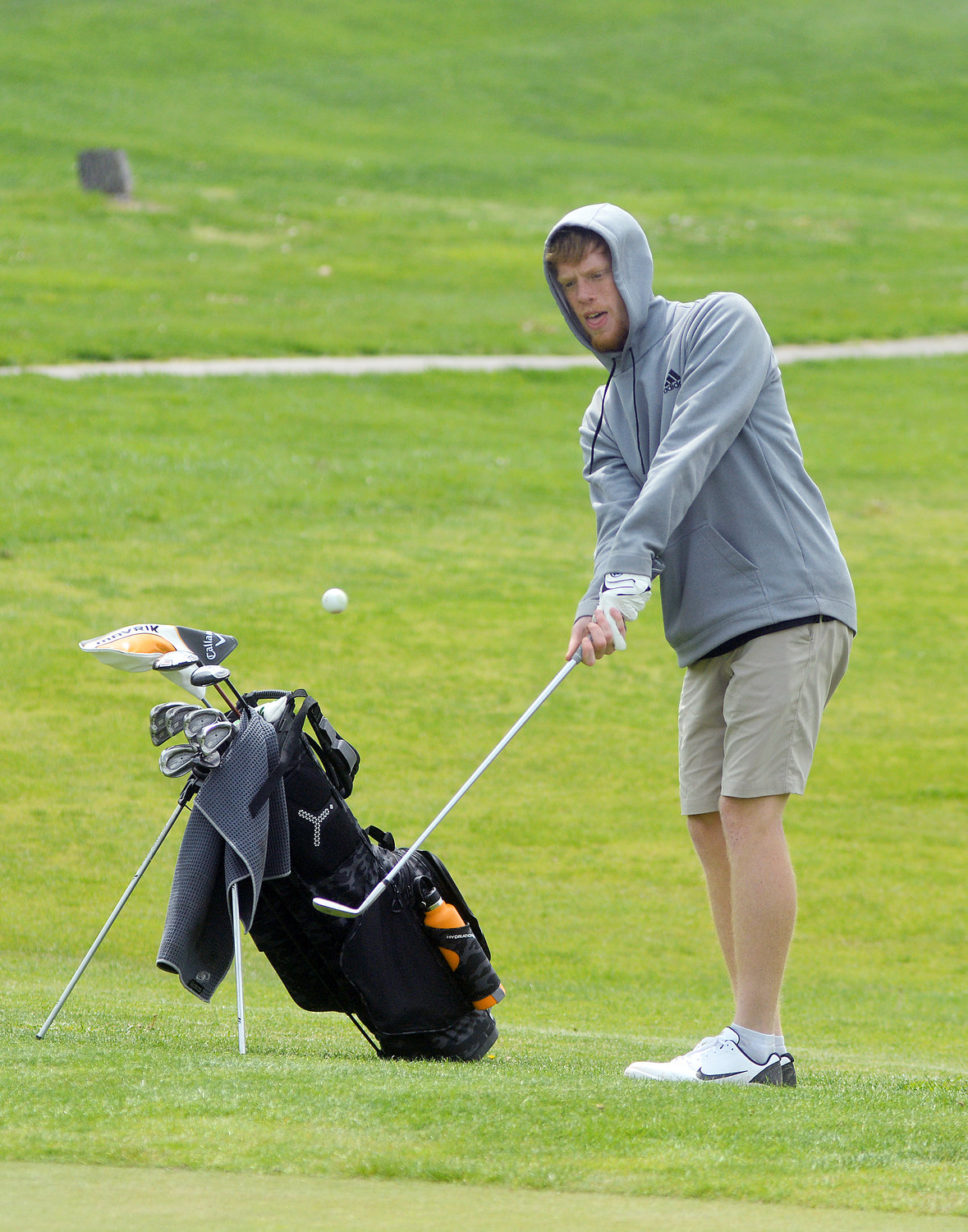 Charlie Whelan (below) chips his ball safely on to the green for Cullen VanLeer’s Dutchmen golf team.